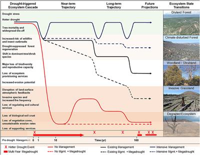 Forest Management Under Megadrought: Urgent Needs at Finer Scale and Higher Intensity